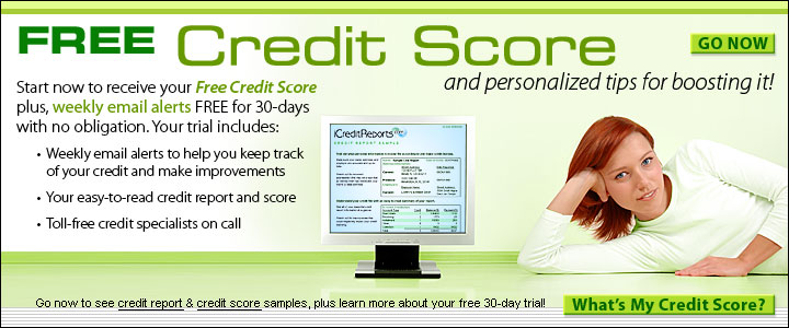 Declined Credit Free Report Equifax